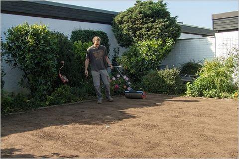 Garten- und Landschaftsbau - Seelig - Rollrasenfläche wird gewalzt Rollrasenfläche wird gewalzt