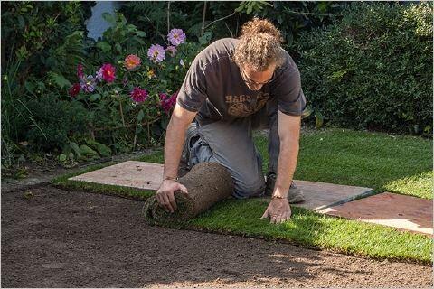 Garten- und Landschaftsbau - Seelig - Rollrasen wird verlegt Rollrasen wird erntefrisch geliefert und sofort verlegt